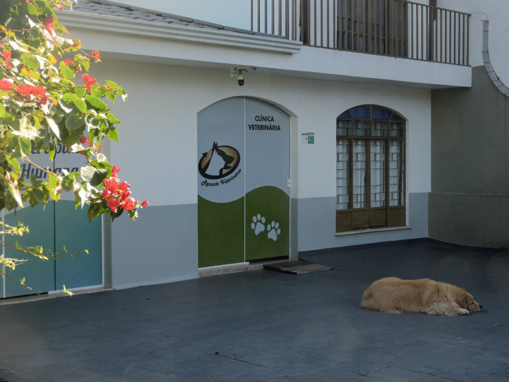 Recepção e ambiente do Recanto Veterinário